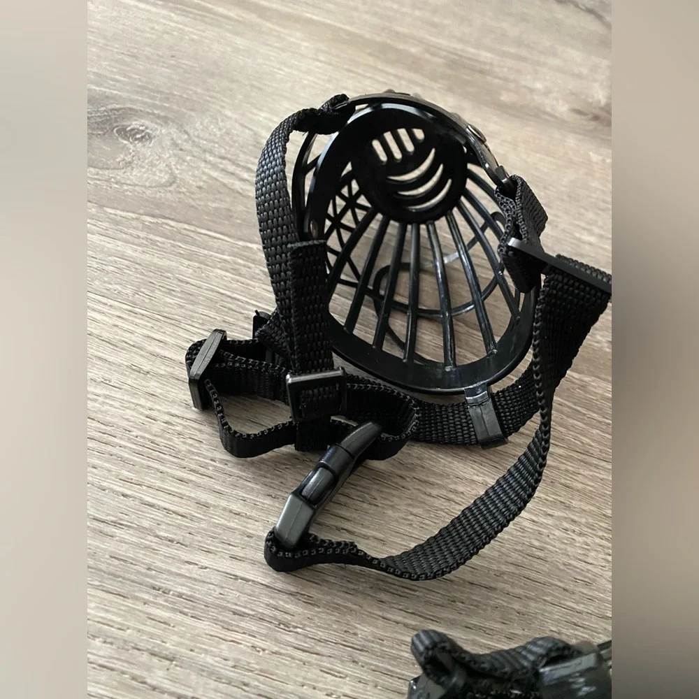 Small Dog Black Muzzle